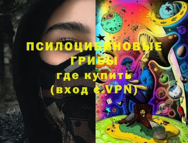 альфа пвп Алексеевка